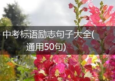 中考标语励志句子大全(通用50句)
