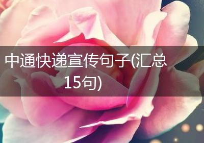 中通快递宣传句子(汇总15句)