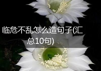 临危不乱怎么造句子(汇总10句)