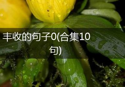 丰收的句子0(合集10句)
