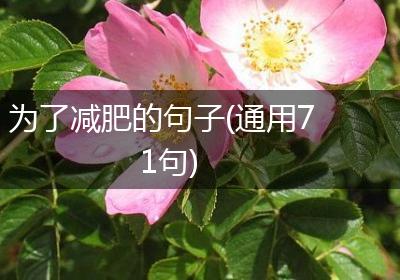 为了减肥的句子(通用71句)