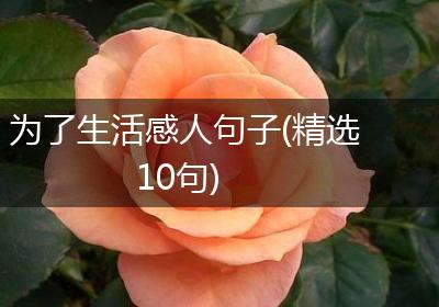 为了生活感人句子(精选10句)