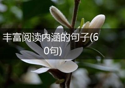 丰富阅读内涵的句子(60句)