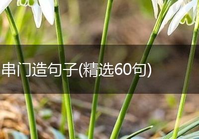 串门造句子(精选60句)