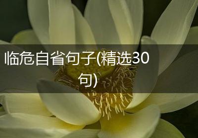 临危自省句子(精选30句)