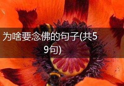 为啥要念佛的句子(共59句)