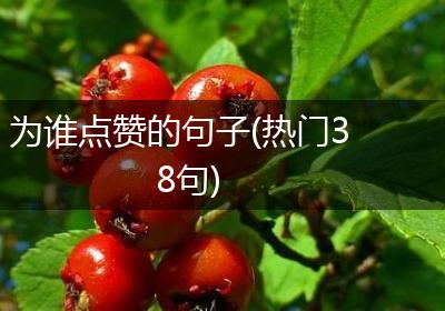 为谁点赞的句子(热门38句)