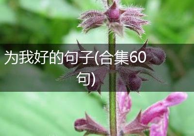 为我好的句子(合集60句)