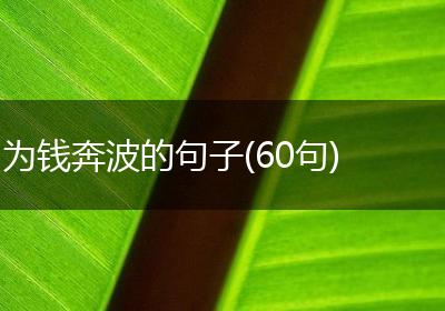 为钱奔波的句子(60句)