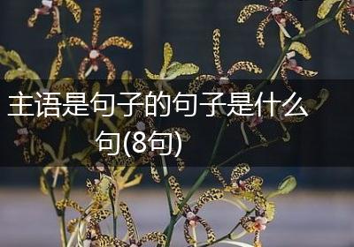 主语是句子的句子是什么句(8句)