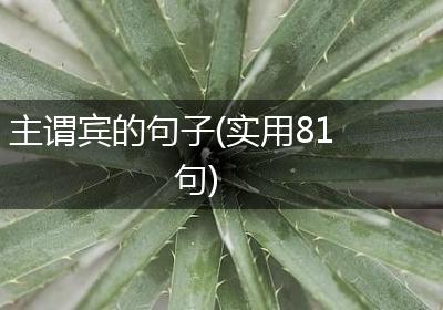 主谓宾的句子(实用81句)