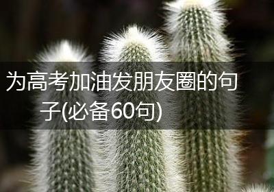 为高考加油发朋友圈的句子(必备60句)