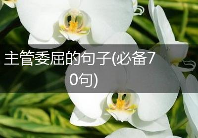 主管委屈的句子(必备70句)