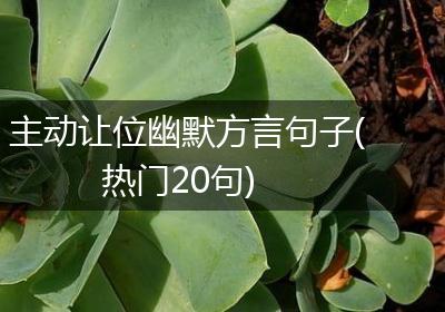 主动让位幽默方言句子(热门20句)
