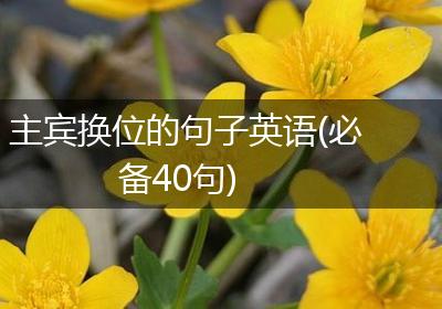 主宾换位的句子英语(必备40句)