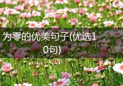 为零的优美句子(优选10句)