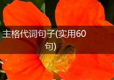 主格代词句子(实用60句)