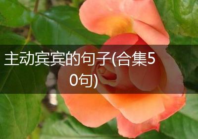 主动宾宾的句子(合集50句)