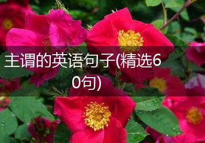 主谓的英语句子(精选60句)