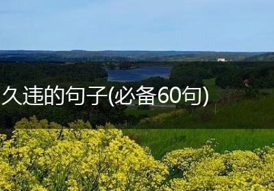 久违的句子(必备60句)