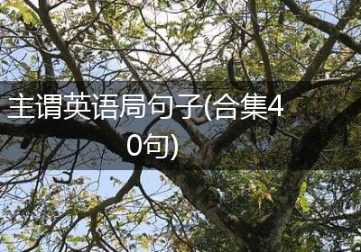 主谓英语局句子(合集40句)
