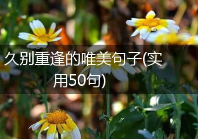 久别重逢的唯美句子(实用50句)