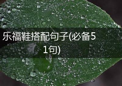 乐福鞋搭配句子(必备51句)