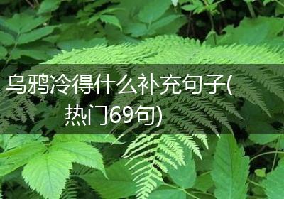 乌鸦冷得什么补充句子(热门69句)
