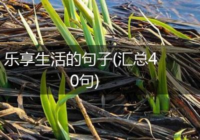 乐享生活的句子(汇总40句)