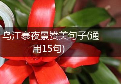 乌江寨夜景赞美句子(通用15句)