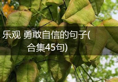 乐观 勇敢自信的句子(合集45句)