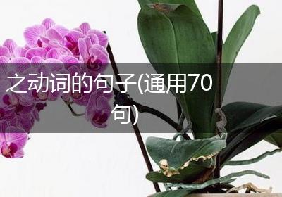 之动词的句子(通用70句)