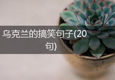 乌克兰的搞笑句子(20句)