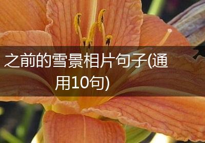 之前的雪景相片句子(通用10句)
