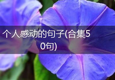 个人感动的句子(合集50句)