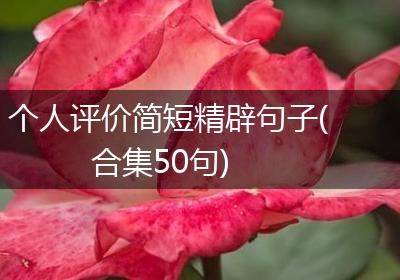 个人评价简短精辟句子(合集50句)