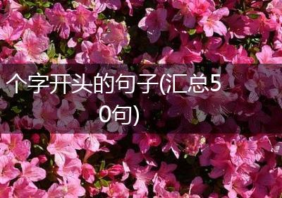 个字开头的句子(汇总50句)