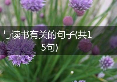 与读书有关的句子(共15句)