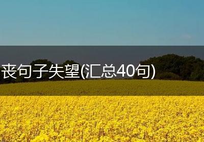 丧句子失望(汇总40句)