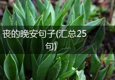 丧的晚安句子(汇总25句)