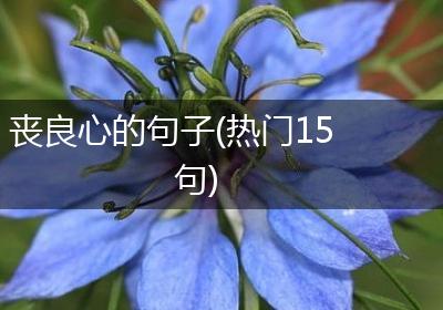 丧良心的句子(热门15句)
