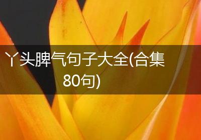 丫头脾气句子大全(合集80句)