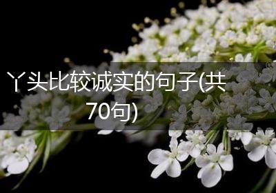丫头比较诚实的句子(共70句)