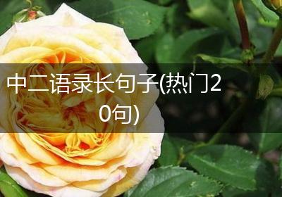 中二语录长句子(热门20句)