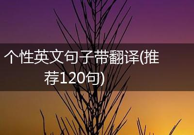 个性英文句子带翻译(推荐120句)