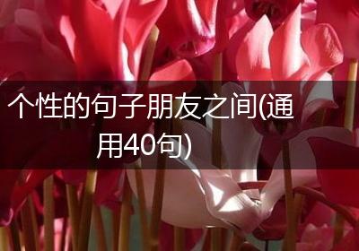 个性的句子朋友之间(通用40句)