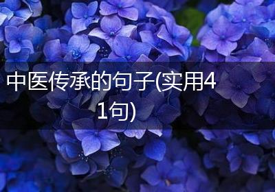 中医传承的句子(实用41句)