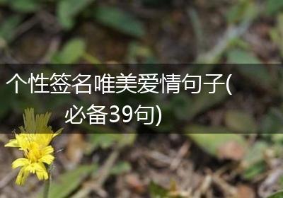 个性签名唯美爱情句子(必备39句)