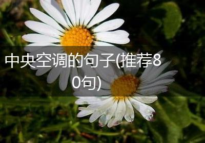 中央空调的句子(推荐80句)