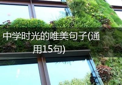 中学时光的唯美句子(通用15句)